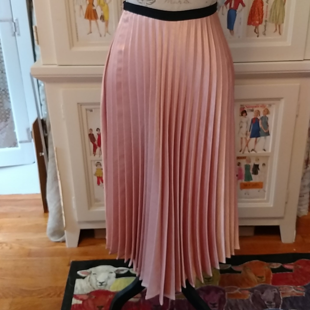 Skylar and Jade pleated pink skirt Sz S